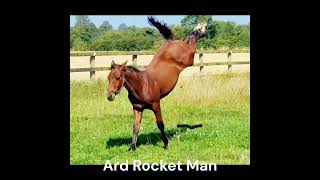 Ard Rocket Man [upl. by Ardiek]