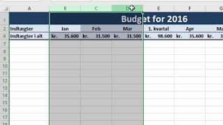 Skjul og vis rækker og kolonner i Excel [upl. by Assert299]