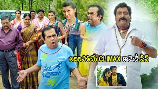 Brahmanandam amp Gopichand Super Hit Movie Comedy Climax Scene  Telugu Movies  Cinema Chupistha [upl. by Bobine]