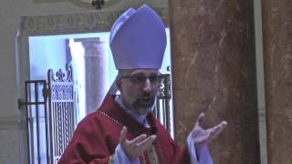 Good Friday Homily by Bishop John Doerfler  2017 [upl. by Avaria]