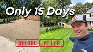 Going From DIRT To STRIPES In 15 Days With SEED [upl. by O'Callaghan597]