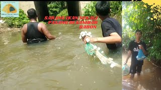 PASANG JARING IKAN DI SUNGAI LANGSUNG DI SARANG IKAN NYA  BABON NYA PADA GANAS [upl. by Clayberg]