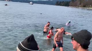 Polar bear swim Vancouver 20193 [upl. by Krid]