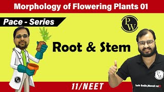 Morphology of Flowering Plants 01  Root and Stem  Class 11  Pace Series  NEET [upl. by Chenee]