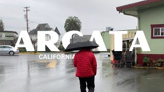 Arcata California Vlog  Rainy Day [upl. by Jerrine]