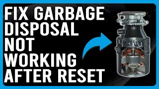 How To Fix Garbage Disposal Not Working After Reset Common Problems And Solutions To The Issue [upl. by Haleelahk210]