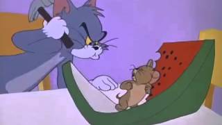 Tom and Jerry Cartoon The Tom and Jerry Cartoon Kitmp4 [upl. by Agler949]