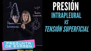 Presión intrapleural vs Tensión superficial en el alvéolo Pregunta de examen [upl. by Cumine]