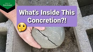 Cracking Open Concretions  Fossils found [upl. by Desta]