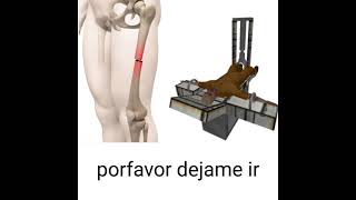 femur breaker sub español  quedo bien feo jaja [upl. by Giffie648]