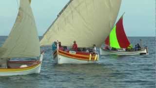 Les belles barques catalanes dans la baie de Banyulssurmer [upl. by Haley136]