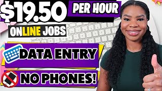 Data Entry Work From Home Jobs Get Paid 1950Hour  No Experience No Phone Required [upl. by Dirraj]