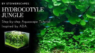 Hydrocotyle Jungle  StepbyStep HiTech Aquascape Tutorial  Inspired By ADA [upl. by Emya815]