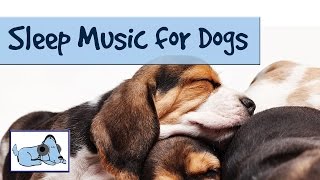 Sleep Music for Dogs and Puppies Relaxing Music for Dogs by RelaxMyDog  Try today Amazing [upl. by Freddie70]