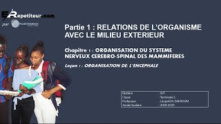 Organisation de lencéphale  Cours SVT Terminales  Erepetiteursn [upl. by Alyar]