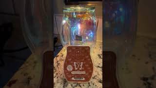 Gingerbread Cheesecake Warm Review scentsy gingerbreadcheesecake warmreview [upl. by Aicile]