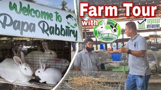 FARM TOUR Rabbit Farming Philippines  Negosyo Philippines [upl. by Eda849]