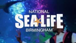 Birmingham Sea Life Centre Video  Cinema Advert  A CMA Video Production [upl. by Wentworth]