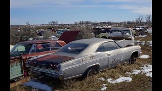 Salvage yard in Idaho with 8000 old cars [upl. by Aztiley]