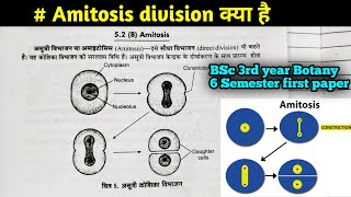 Amitosis Cell division कैसे होता है  BSc 3Rd year Botany 6th Semester first paper in Hindi [upl. by Leumek699]