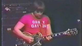 Redneck Jazz Explosion  Danny Gatton [upl. by Brott]