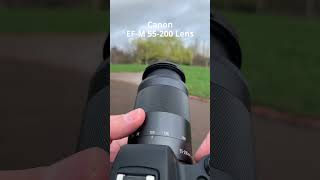 The Canon EFM 55200mm Zoom Lens on the Canon M50 Mark ii shorts [upl. by Sugihara]