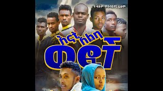 Enat Aleba wfoche film እናት አልባ ወፎች ፊልም [upl. by Aisyle]