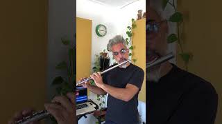 Armandos Rhumba · Chick Corea solo transcription on flute [upl. by Anaujat368]