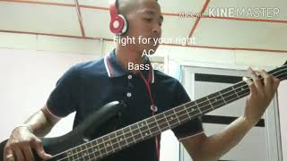 Fight for your right ACAB Bass Cover by Mr Bunkjoe gaiss [upl. by Woll]