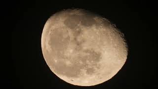 Moon 88 illuminated in Waning Gibbous  Monday January 29 2024 [upl. by Hajidak]