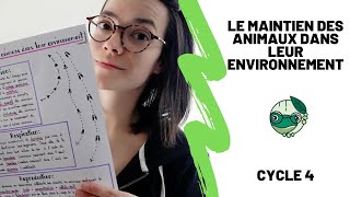 Le maintien des animaux dans leur environnement  5ème  Madame SVT [upl. by Bald]