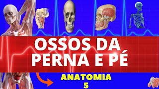 OSSOS DA PERNA E PÃ‰  ACIDENTES Ã“SSEOS DA TÃBIA FÃBULA E TARSO  ANATOMIA DOS OSSOS [upl. by Aninat501]