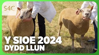 Y Sioe 2024  Bore Llun yn FYW  Sylwebaeth Gymraeg  The Royal Welsh Show 2023 LIVE  Monday Mor [upl. by Clarice913]