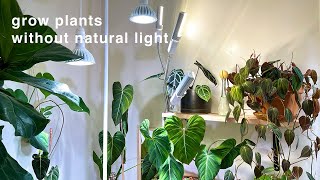 My houseplant grow lights and set up  no natural light [upl. by Karilynn]