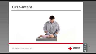 CPR  Infant [upl. by Clementina]