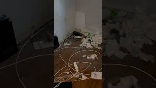 Mold Removal in Central Islip NY roof leak caused water damage and mold in bedroom moldremoval [upl. by Crofoot]