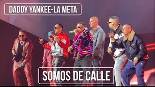 Somos de Calle liveen vivo La MetaDaddy Yankee 11223 [upl. by Ayrb]