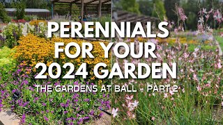 Bright Beautiful Perennials for Your 2024 Garden  The Gardens at Ball Tour  Part 2🌿😀 [upl. by Nyrrad539]