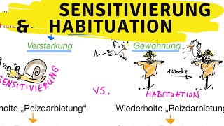 Sensitivierung und Habituation  Details und Beispiele  Lernformen [upl. by Darra]