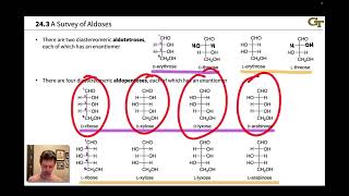 A Survey of Aldoses and Ketoses [upl. by Mable7]