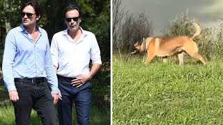 Alain Fabien Delon adopte un nouveau chien  Loubo pas tendre avec son invité à Douchy [upl. by Rowan]