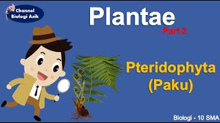 Kingdom Plantae part 2 Pteridophyta  Biologi kelas 10 SMA [upl. by Okimuy874]