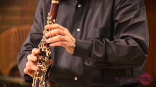 Clarinet lessons with Charles Neidich 2nd clarinet sonata Brahms [upl. by Wira]