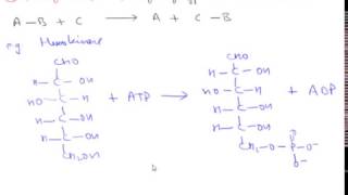 Enzyme Classification Hindi [upl. by Mcgurn]