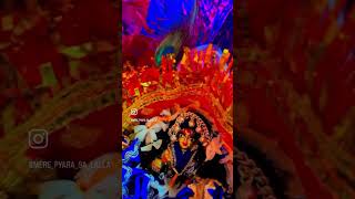 Radhe Radhe vridavan bankebihari krishna laddugopal premanandjimaharaj [upl. by Roskes]