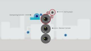 Lithographic printing process explained by Sterling [upl. by Carlyle695]