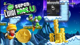 Weighty Waddlewings ALL STAR COINS  New Super Luigi U [upl. by Nels]