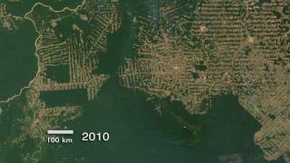 Amazon Deforestation in Rondônia Brazil 20002010 720p [upl. by Jerrold]