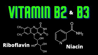 USMLE Step 1  Lesson 42  Vitamin B2 and B3 [upl. by Carlen299]