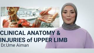 Clinical Anatomy amp Injuries of Upper LimbDrUmeAiman [upl. by Suneya]